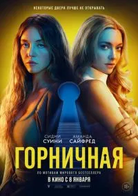 Горничная (фильм, 2025) смотреть онлайн (Лордфильм) бесплатно в HD