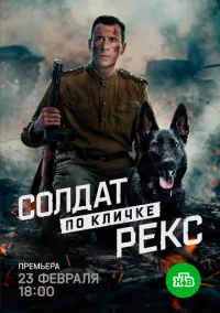 Солдат по кличке Рекс (сериал, 2025) смотреть онлайн (Лордфильм) бесплатно в HD